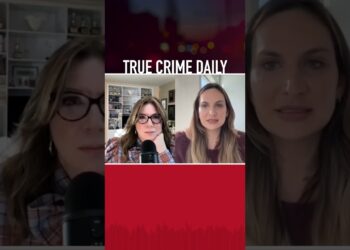 What made teenager plead guilty to stabbing classmate over 100 times?