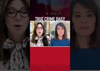 Should police release more details surrounding the stabbing of four University of Idaho Students?