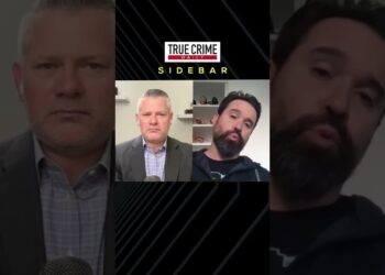 The Tesla autopilot manslaughter case