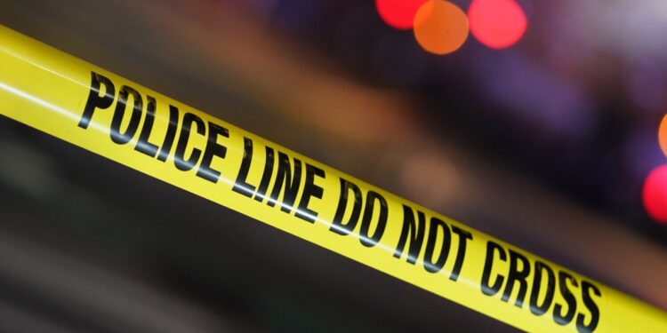 The woman was stabbed in the right breast, right thigh, right shoulder and slashed across her neck, law enforcement sources said.