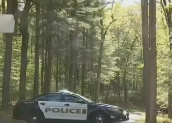 Norwich PD car in the woods