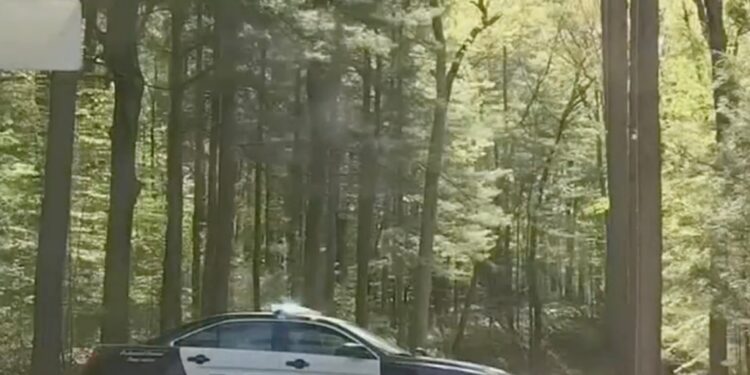 Norwich PD car in the woods