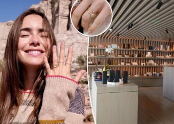 Lily Collins jewelry theft suspect identified