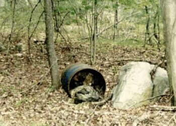 The Unidentified Middle Child – TRUE CRIME REPORT