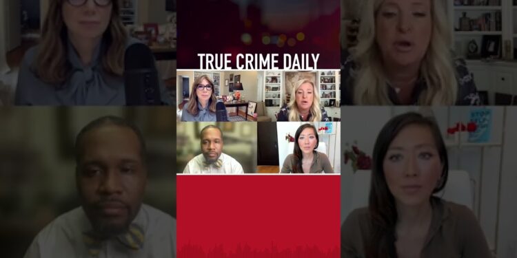 Who helped Alex Murdaugh coverup crime? #truecrime #murdernews