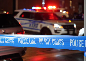 Central Park dispute between dog walkers leads to pup being fatally stabbed