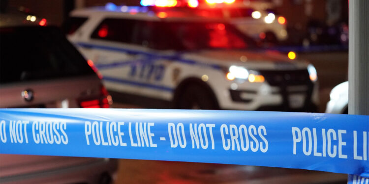 Central Park dispute between dog walkers leads to pup being fatally stabbed