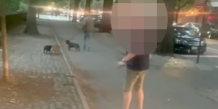 The slain dog's owner yells at the alleged attacker, seen walking away.