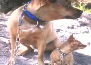 Eli and Sadie together.