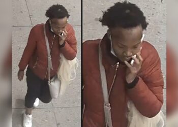 The homeless woman was charged for murder and assault for allegedly stabbing as well as threatening the mother.