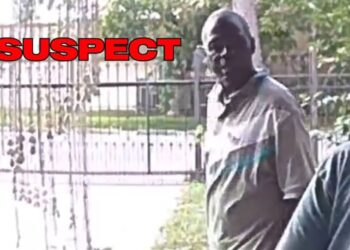 Houston man Melvin Walker was allegedly caught on camera putting an elderly woman in a chokehold before robbing her home.