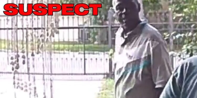 Houston man Melvin Walker was allegedly caught on camera putting an elderly woman in a chokehold before robbing her home.