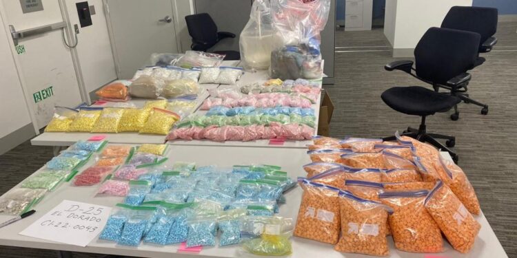 The stash of drugs discovered in the Washington Heights basement.