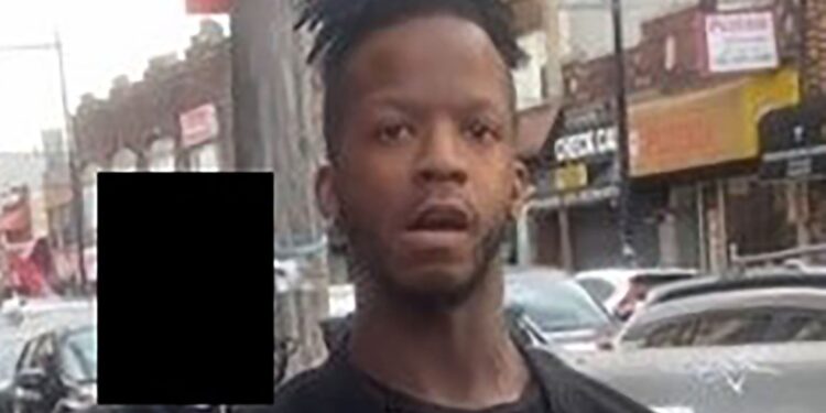 The suspect snatched up Chico the chihuahua in front of the City Fresh Market in College Point last week, cops said.