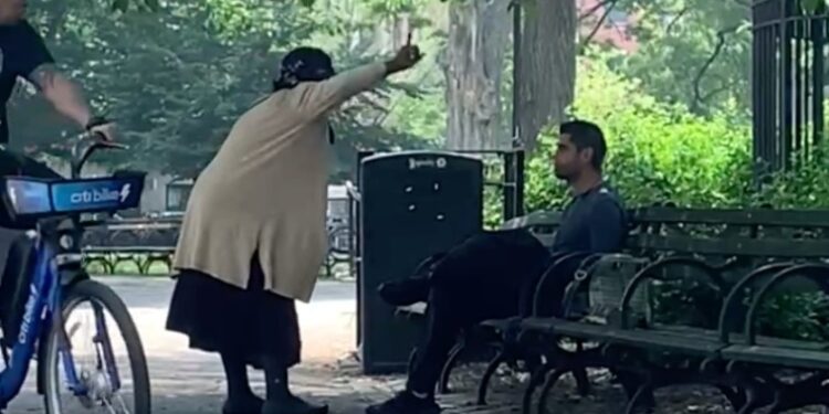 Second unhinged woman in three days harasses locals at Tompkins Square Park