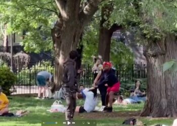 Woman in red shorts grabs onto the hair of a woman who is sitting on a park lawn.