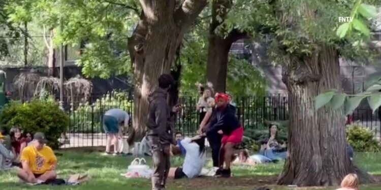 Woman in red shorts grabs onto the hair of a woman who is sitting on a park lawn.