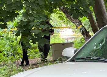 Body of a female found in a storage bin on Edson avenue in the Bronx.