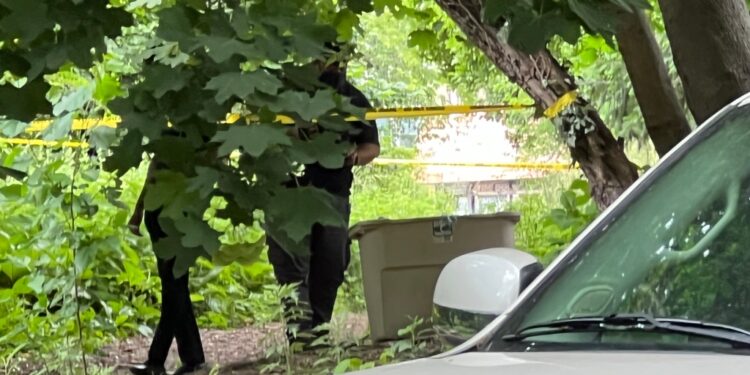 Body of a female found in a storage bin on Edson avenue in the Bronx.