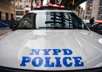 Peralta's brother filed a Freedom of Information Law request with the NYPD in April 2022 for any documents on his sister's case, decades after the investigation ended.
