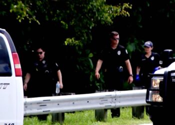 Officers investigate the suitcases filled with human remains which were found in a waterway in Delray Beach, Florida