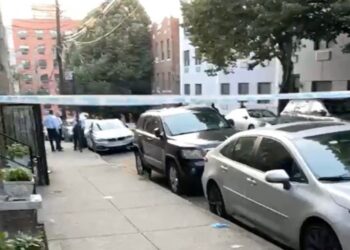 A 28-year-old man was shot dead in front of a home on East 223rd Street near Carpenter Avenue in Olinville, cops said.