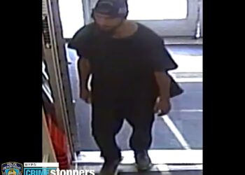 A stranger flashed a 10-year-old girl and masturbated in front of her inside of a Staten Island Family Dollar, cops said.