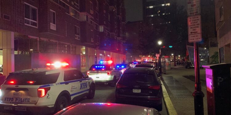 An armed man was shot by the police on Roosevelt Island after he swung a weapon at officers.