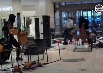 The thieves appeared to be targeting luxury bags in the smash-and-grab robbery at the Nordstrom on Saturday afternoon