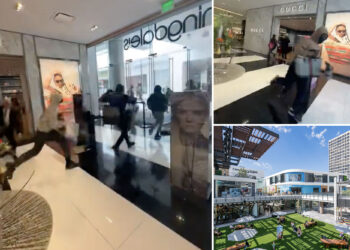 Video shows brazen bandits in LA Gucci store heist