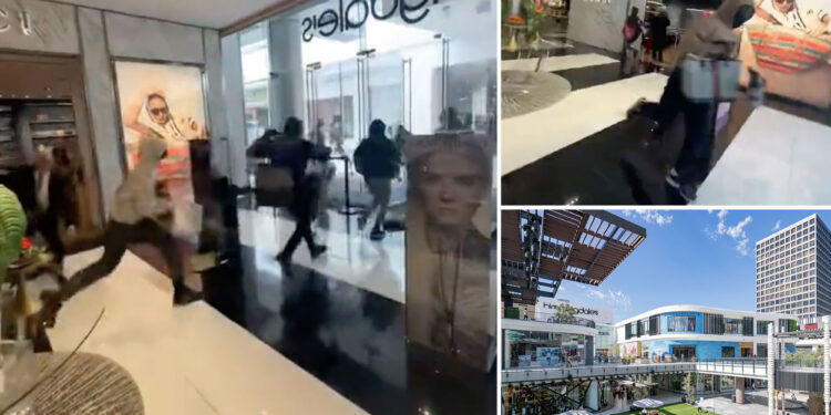 Video shows brazen bandits in LA Gucci store heist