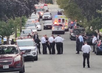 NYPD officers on the scene where a man stabbed his brother to death and injured to others.