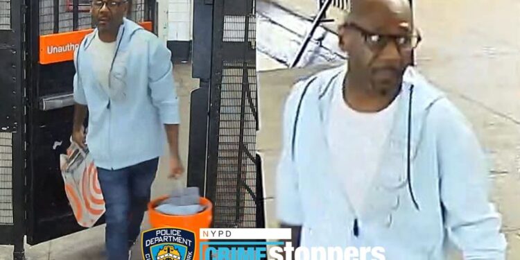 Maniac screams 'throw yourself onto the tracks' before randomly shoving elderly man onto roadbed at NYC subway station: NYPD