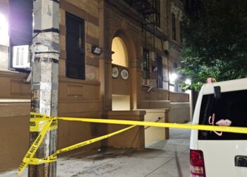 The 8-year-old boy has just gotten off a school bus when he was struck by a stray slug on Beekman Avenue near East 141st Street in Mott Haven, cops said.