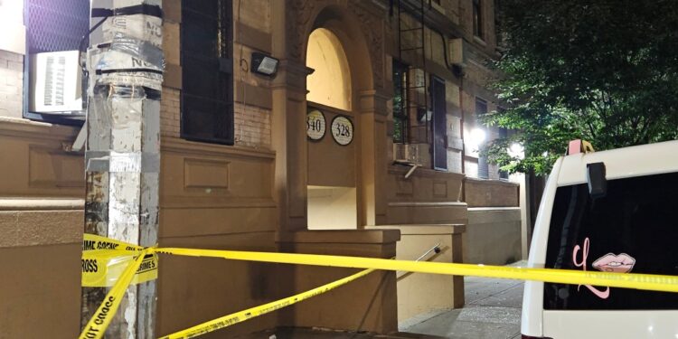 The 8-year-old boy has just gotten off a school bus when he was struck by a stray slug on Beekman Avenue near East 141st Street in Mott Haven, cops said.