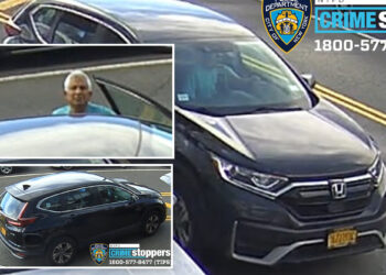 NYC man, 74, bilked of 10K in bail scheme: cops