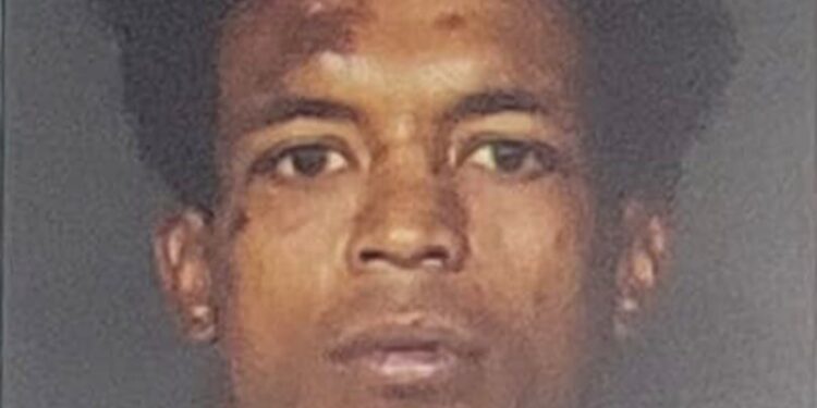 Mugshot of alleged criminal.