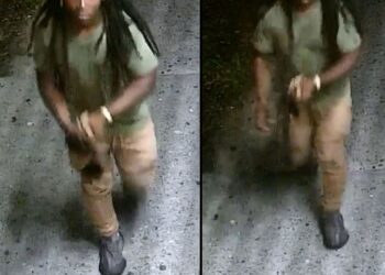 Photos show the man suspected in the Aug. 28 sex assault on Clarkson Avenue near Flatbush Avenue in Prospect-Lefferts Gardens.