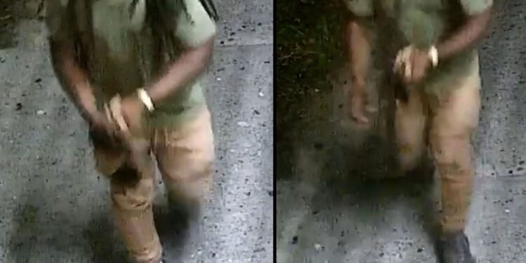 Photos show the man suspected in the Aug. 28 sex assault on Clarkson Avenue near Flatbush Avenue in Prospect-Lefferts Gardens.