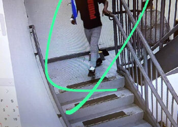 A child could be seen making off with a waitress' belongings after clearing out her bag at The Stone Street Tavern.