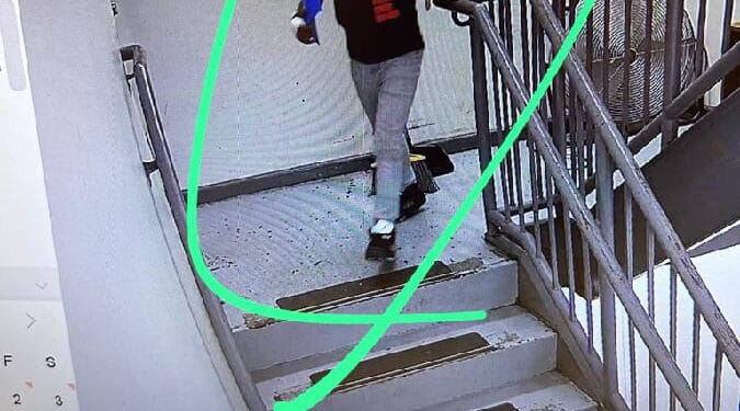 A child could be seen making off with a waitress' belongings after clearing out her bag at The Stone Street Tavern.