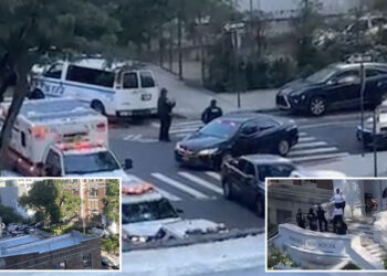 Boys, 15 and 16, slashed outside NYC high school in daylight attack: cops