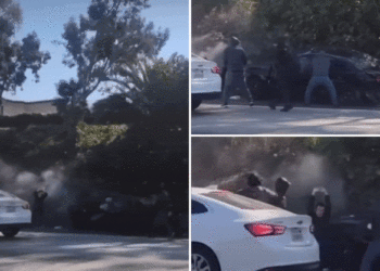 Car crash victim 'definitely targeted' by heartless robbers in middle of Los Angeles freeway in broad daylight