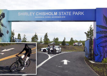 Creep chokes and punches woman, 52, before trying to rape her in NYC park: cops