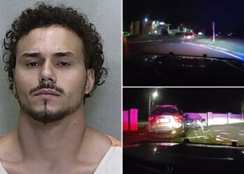 Florida man Tyler Fayconsolo smashes head through car window in wild police chase
