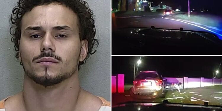 Florida man Tyler Fayconsolo smashes head through car window in wild police chase
