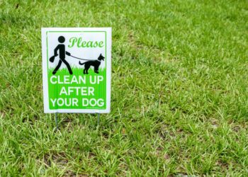 She ultimately admitted to the unusual crime after police matched the doggie bag to those Robertson had in her possession.