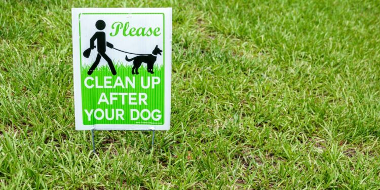 She ultimately admitted to the unusual crime after police matched the doggie bag to those Robertson had in her possession.