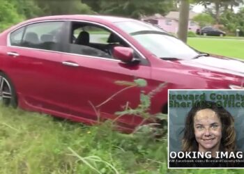 Florida woman beat up mom, stole car after argument: Cops