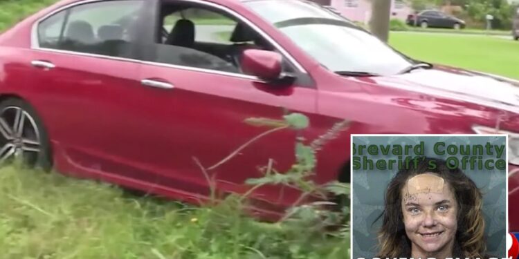 Florida woman beat up mom, stole car after argument: Cops